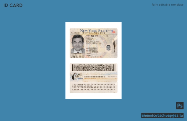 USA New York Personalausweis 2022-heute – Beispielvorschau